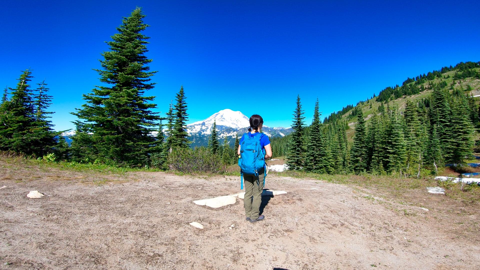 Hiker with blue backpack views a distant snow-capped mountain under clear sky.