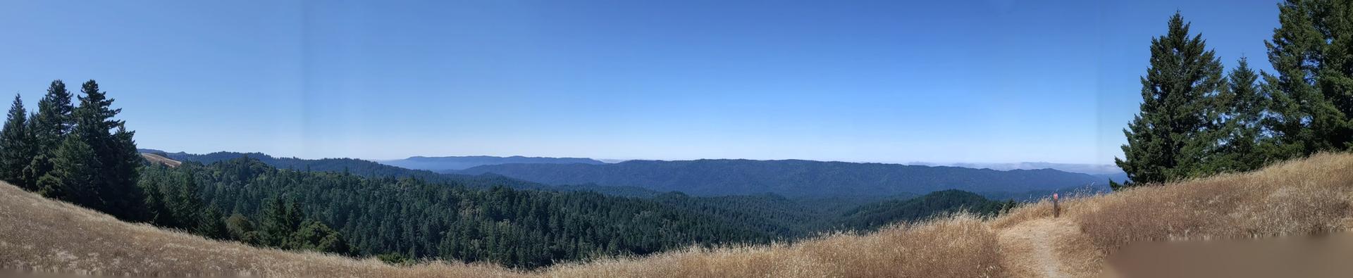 Panoramic view of vast forested mountains under a clear blue sky.