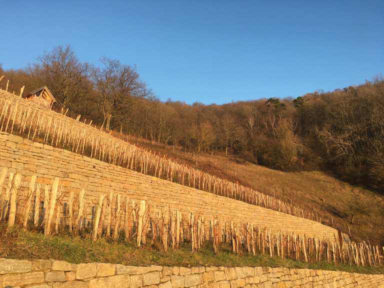 Geschichtsweinberg Iphofen Wandelroutes En Hikes Komoot