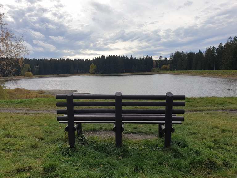 Kiefhölzer Teich Wanderungen und Rundwege komoot