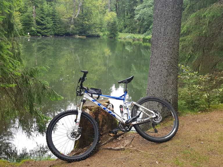 Knöpfelstaler Teich Mountain Bike Trails & Tracks Komoot