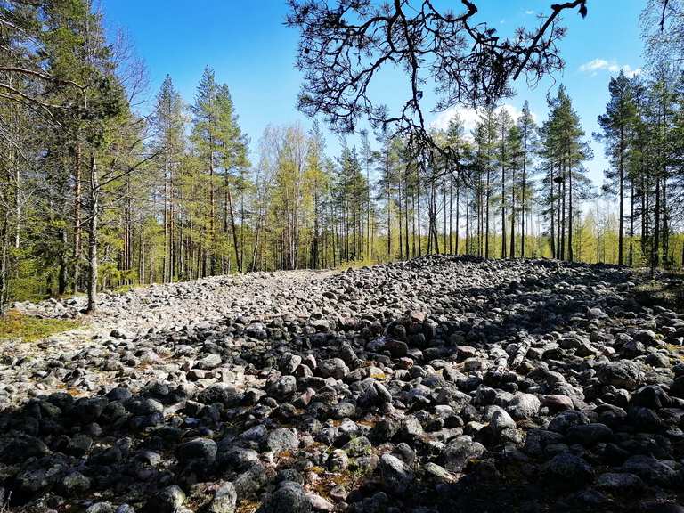 Pilpasuo – Pilpasuon laavu loop from Holtinkylä | hike | Komoot