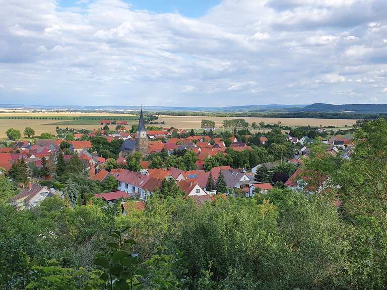 Düppel: Wanderungen und Rundwege | komoot