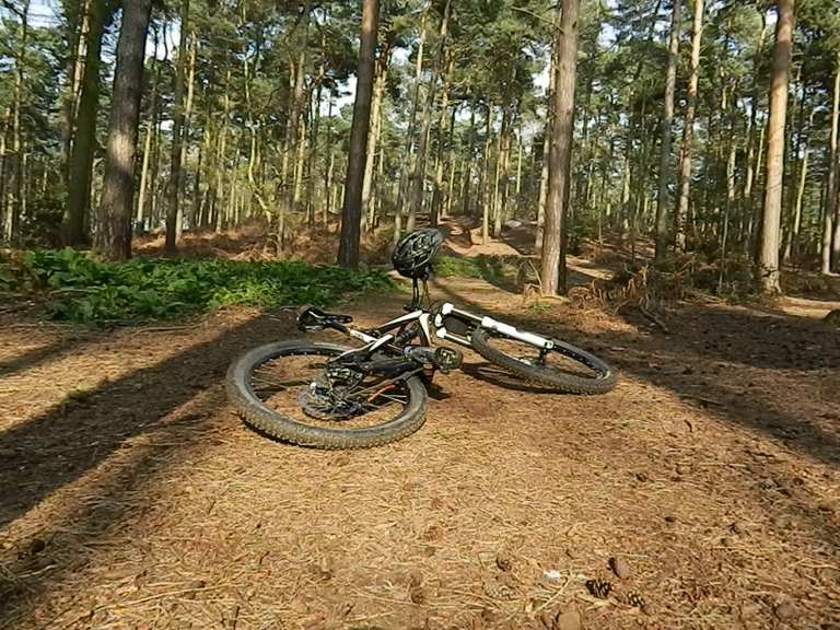 Chicksands mtb hot sale