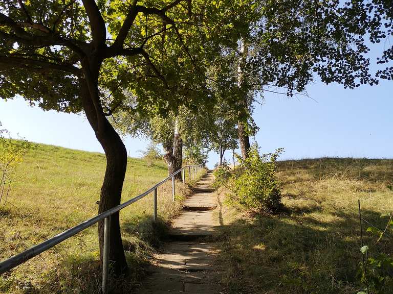 Meixmühle Malschendorfer Höhe Runde von Pillnitz Wanderung Komoot