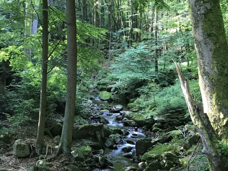 Heinrich Heine Weg: Wanderungen und Rundwege | komoot