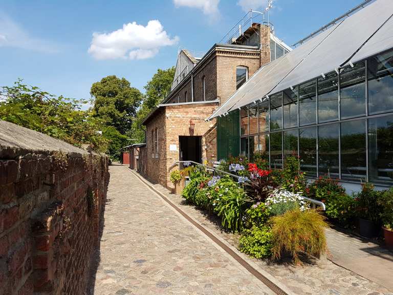 Botanischer Garten Greifswald Routes for Walking and Hiking Komoot