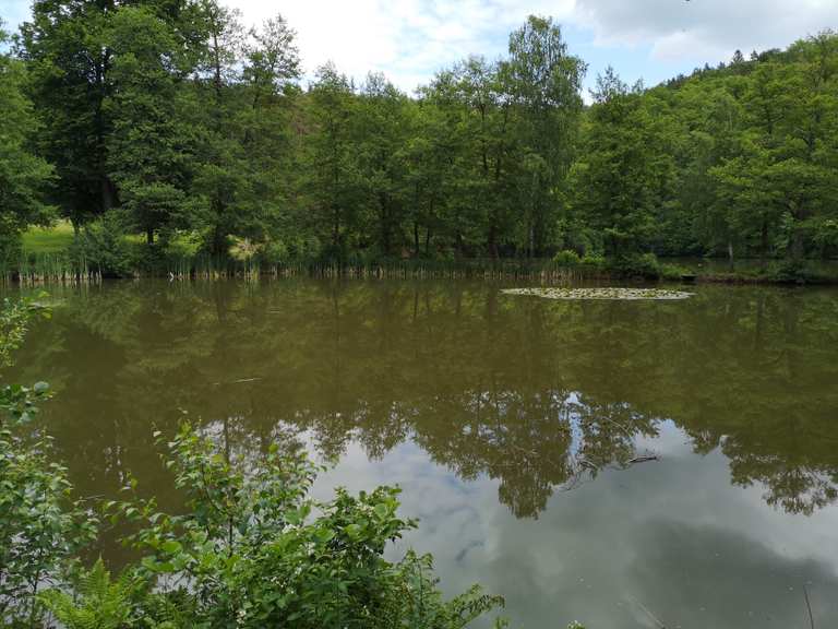 Schönsee Routes for Walking and Hiking | Komoot