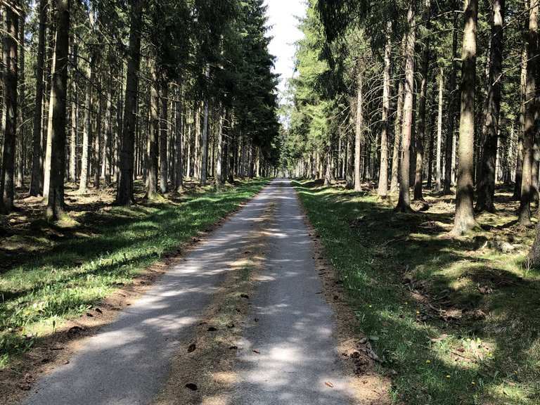 Elsenborn Camp Crossing to Perle Valley Cycle Routes and Map | Komoot