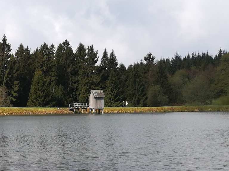 Hexenbank Kuttelbacher Teich Circuit à partir de Bockswiese