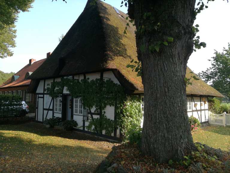 Gut Stendorf Routes for Walking and Hiking | Komoot