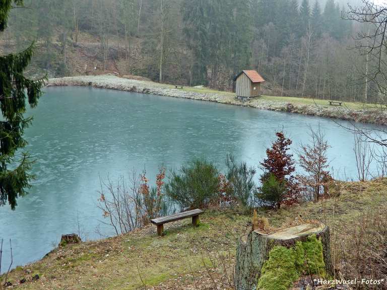 Neuer Teich, Wanderungen und Rundwege komoot