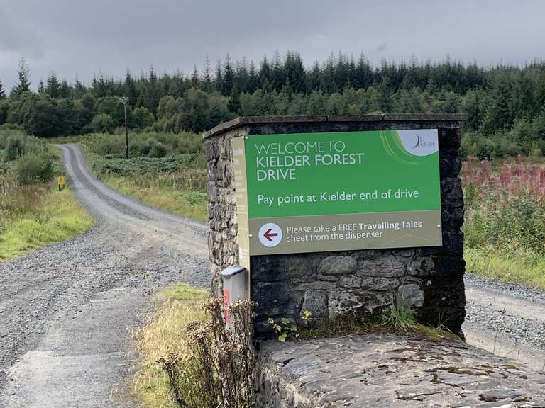 Kielder Forest Drive Cycle Routes and Map | Komoot