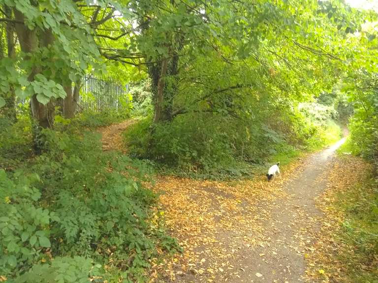 Roach Bridleway Cycle Routes and Map | Komoot
