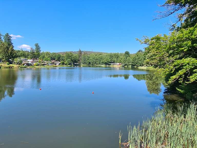 Bremer Teich (HWN 196) Routes for Walking and Hiking Komoot