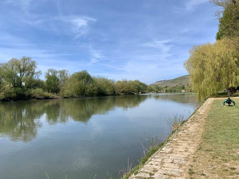 Mainufer Randersacker Randersacker Wurzburg Radtouren Tipps Fotos Komoot