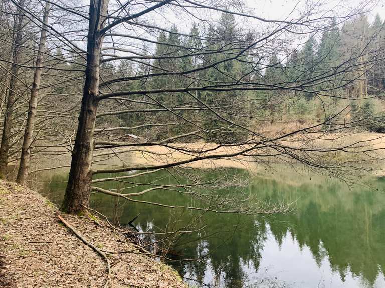 Dreisbachteich Mountain Bike Trails & Tracks Komoot