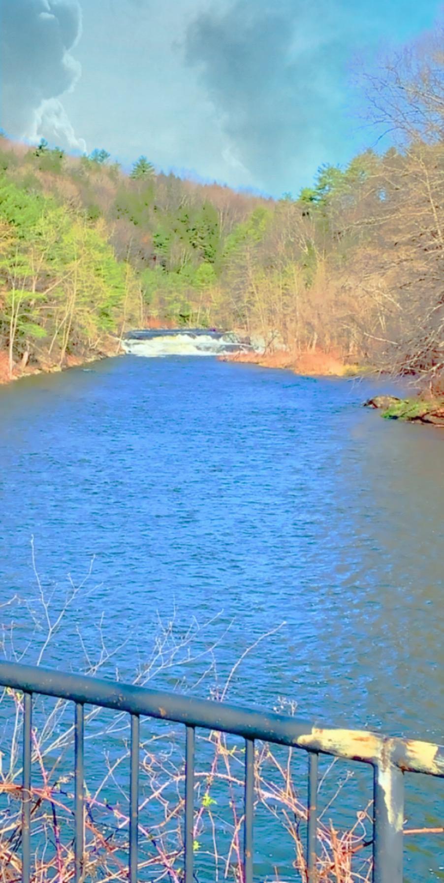 Scenic river with distant rapids, flanked by forested hills, seen from behind a railing.