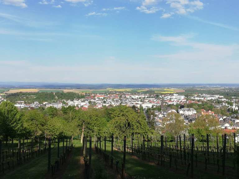 Johannisberg MountainbikeTouren und Trails komoot