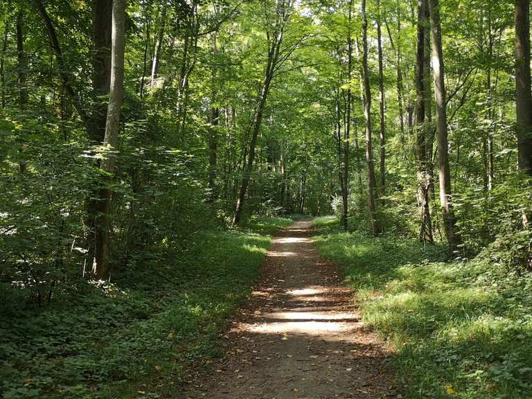 Englischer Garten Neuburg Radtouren und Radwege komoot