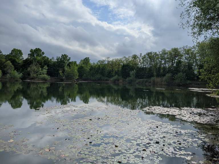 45+ Teich Am Braunshardter Tännchen, Zwischen weiterstadt und