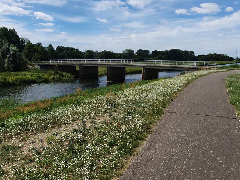 Weg an der Spree DissenStriesow, SpreeNeiße