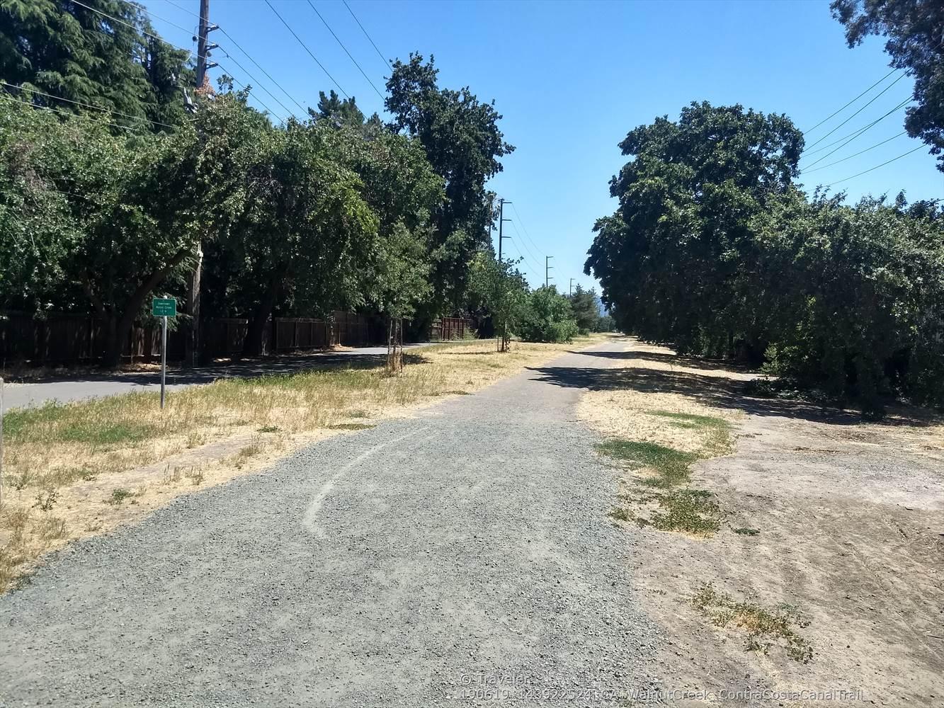A gravel path under a clear sky, bordered by green trees and dry grass.