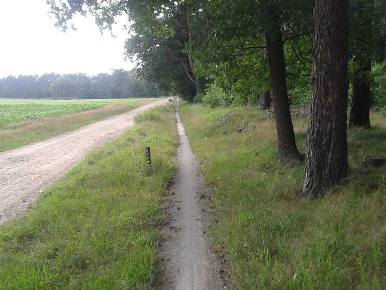 fahrrad weg von wenddeburg nach müden an der aller