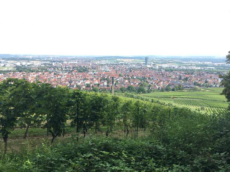 Tolle Aussicht vom Kappelberg. Radtouren und Radwege komoot