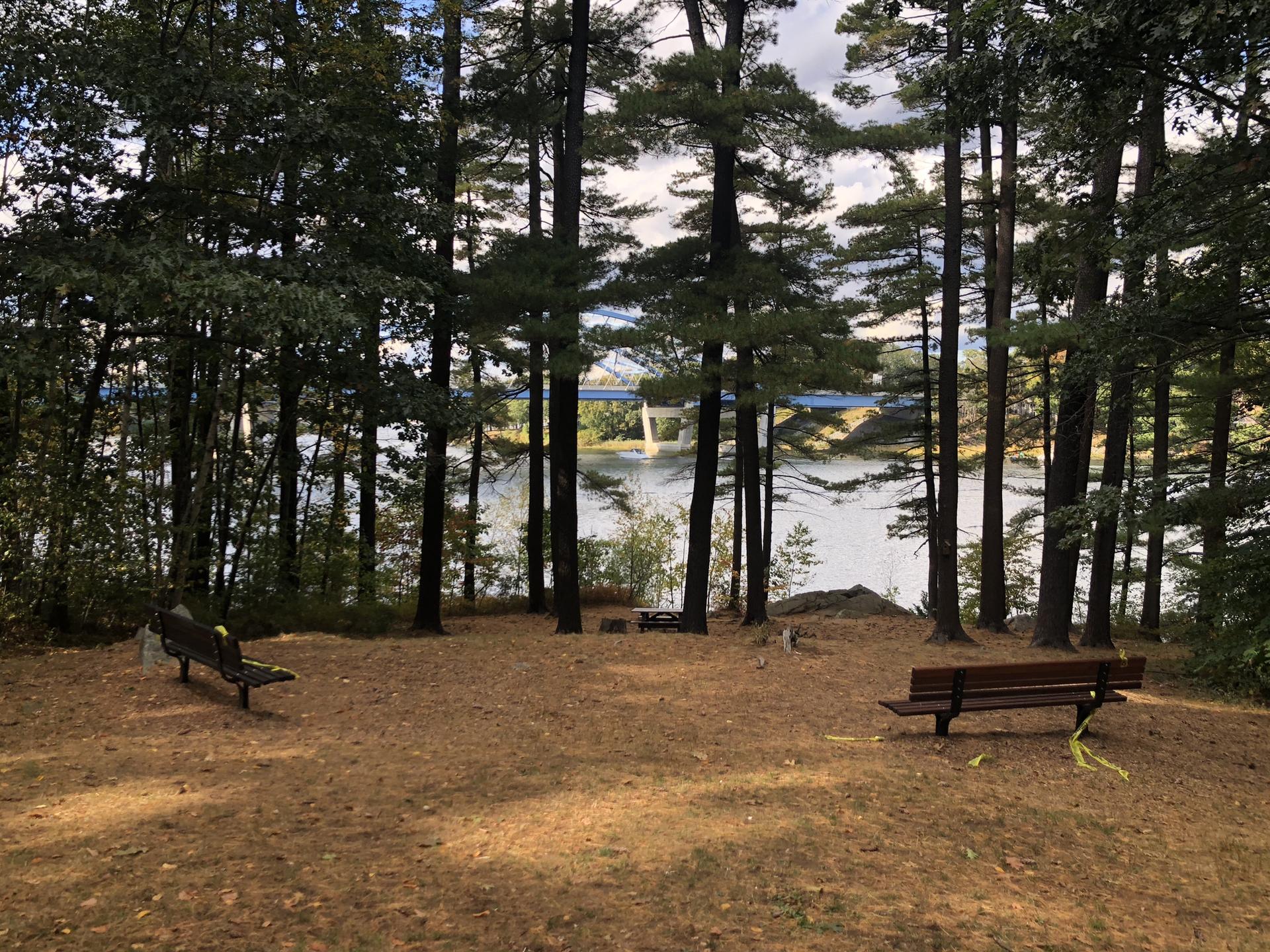 Two benches in a wooded clearing overlooking water, with trees and natural light.