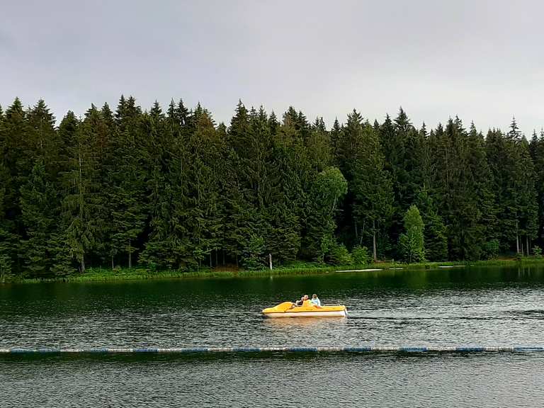 Kuttelbacher Teich Routes for Walking and Hiking Komoot
