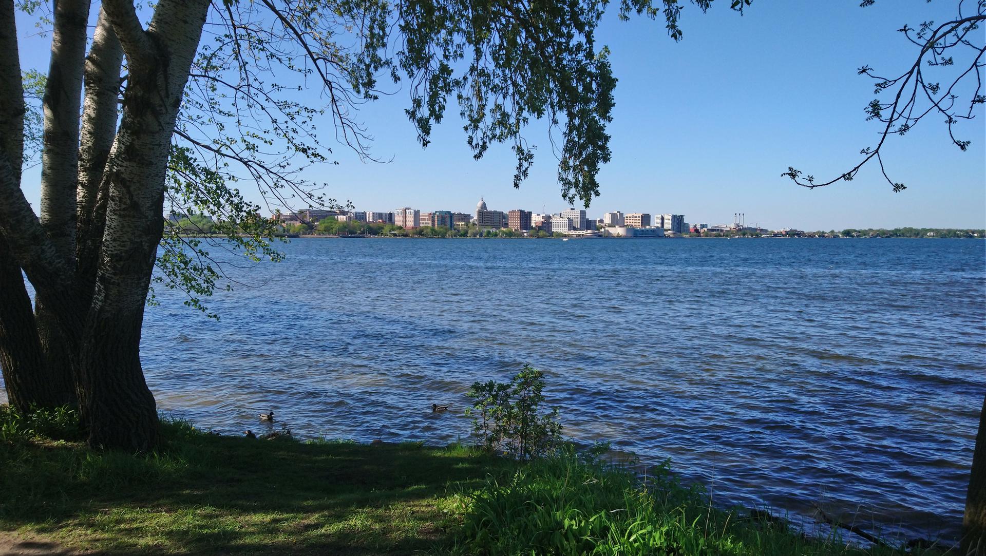 Bright sunny view of a lake with a distant city skyline and foreground trees.