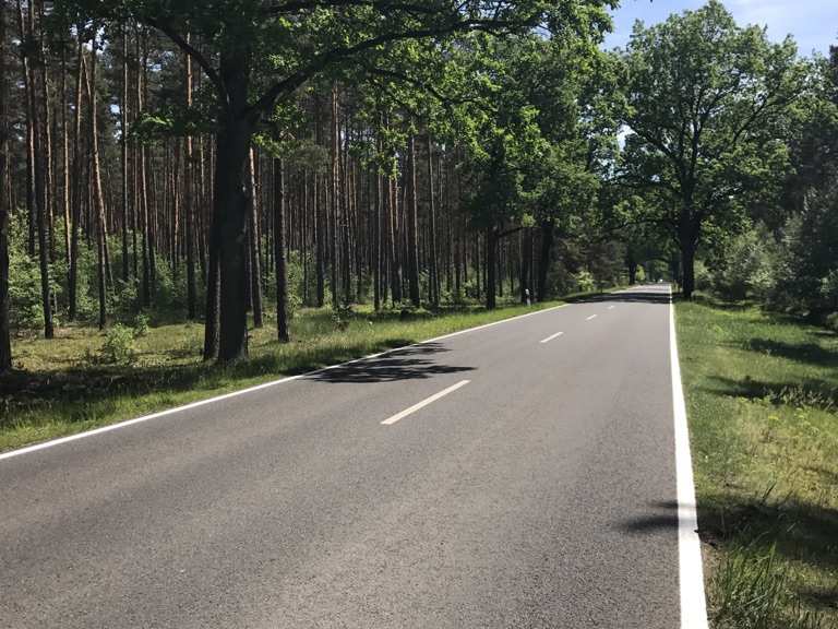 Standard-Hunni | Rennrad-Tour | Komoot