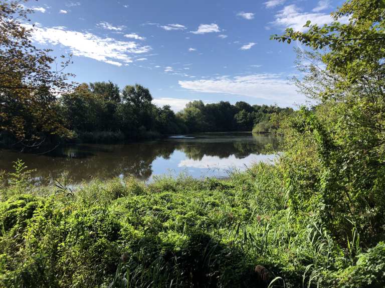 Karower Teiche Freilaufende Rinder Runde von Blankenburg Wanderung