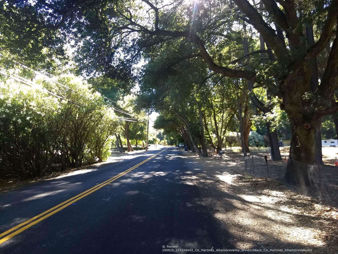 A sun-dappled road with double yellow lines, shaded by large trees.