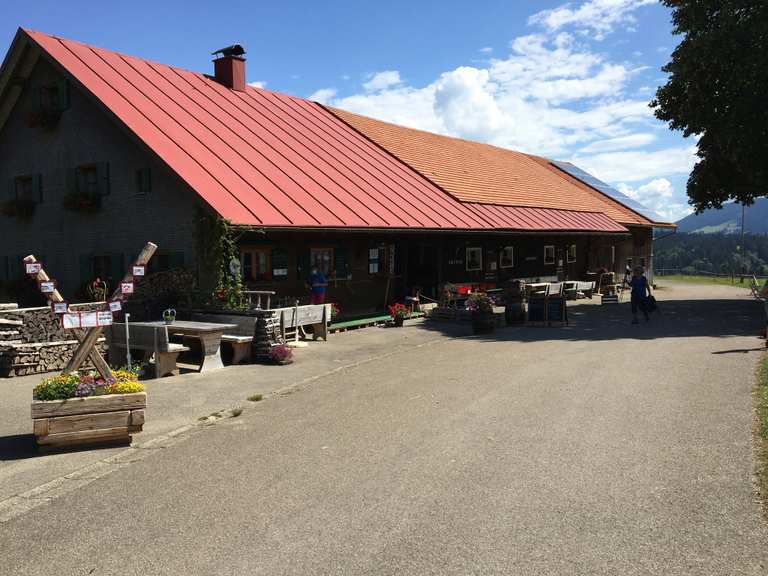 Königsalpe MountainbikeTouren und Trails komoot