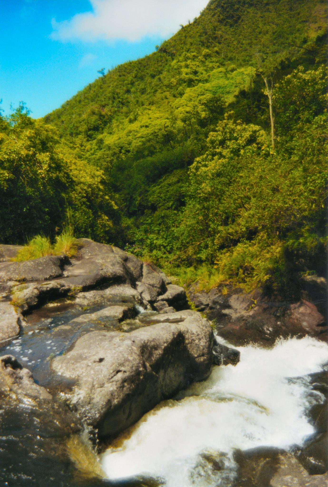 Rushing white water cascades over dark rocks beside a steep green hill.