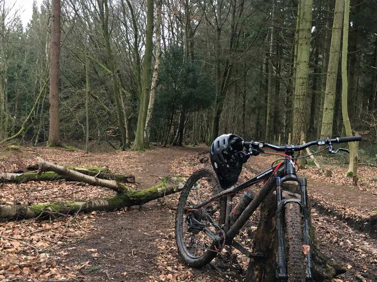 queen elizabeth country park mountain bike trails