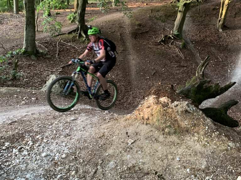 friston forest cycling