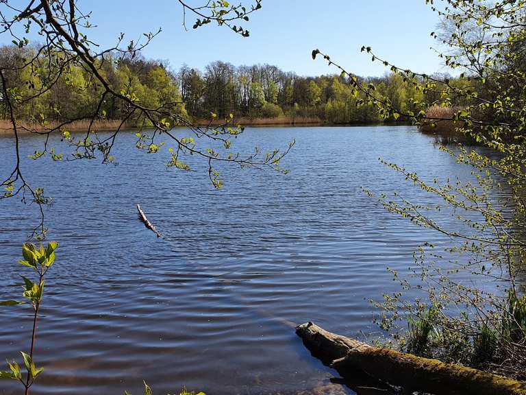54+ Bredenbeker Teich Temperatur, Öffnungszeiten an feiertagen