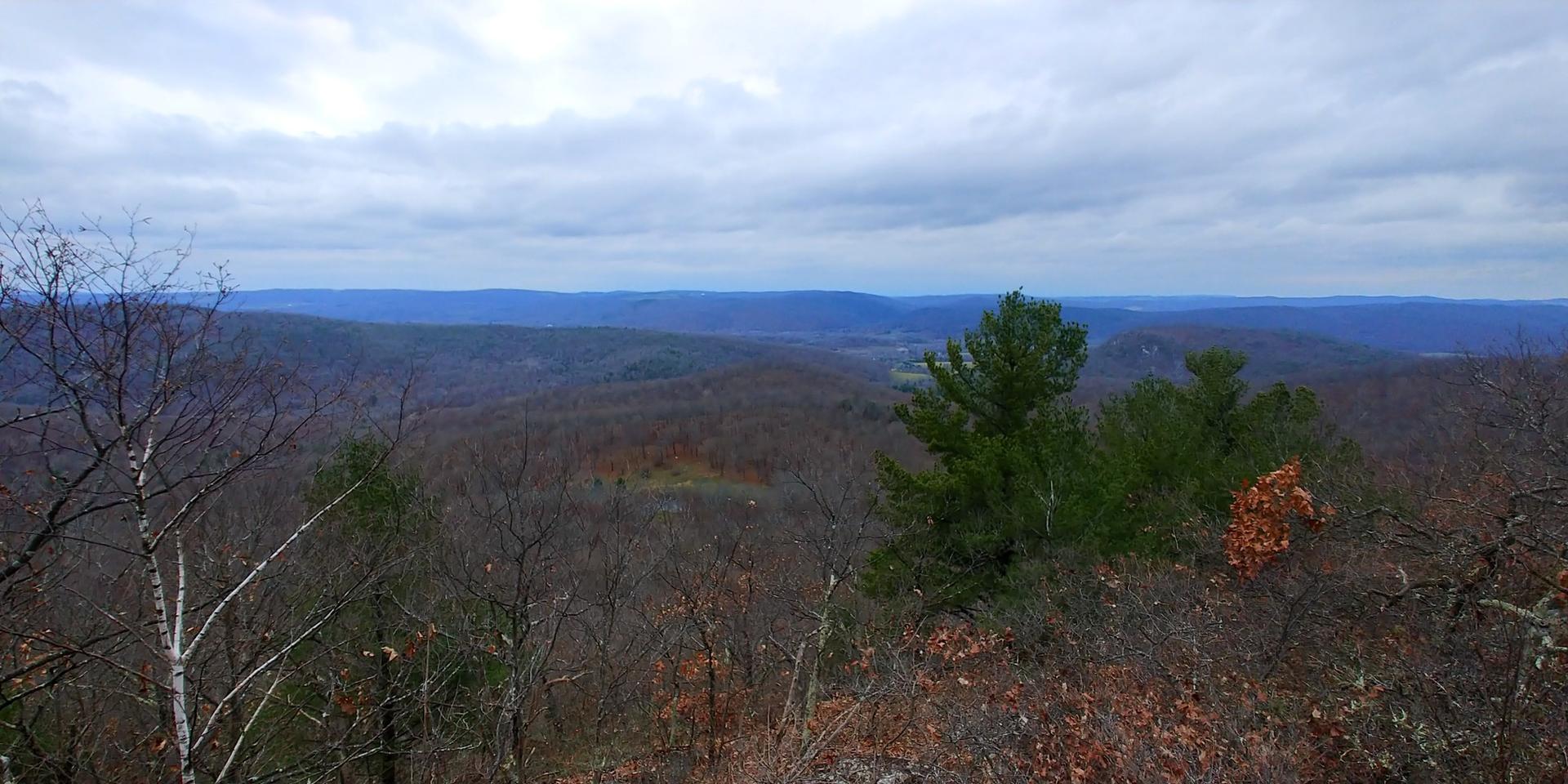 Wide view of forested hills under a cloudy, grey sky.