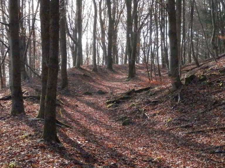 Ringwallanlage Grünbürg Wanderungen und Rundwege komoot