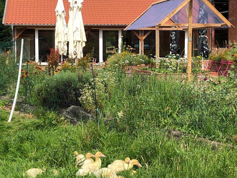 Hof an den Teichen Hofladen und Cafe Radtouren und Radwege komoot