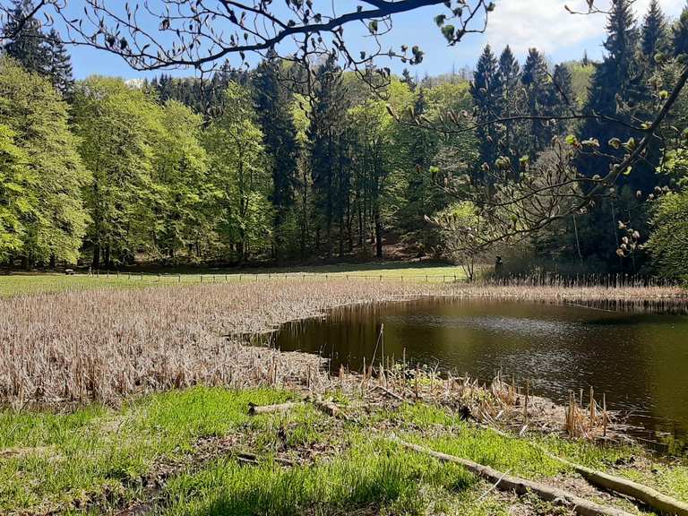 FrauHolleTeich Wanderungen und Rundwege komoot