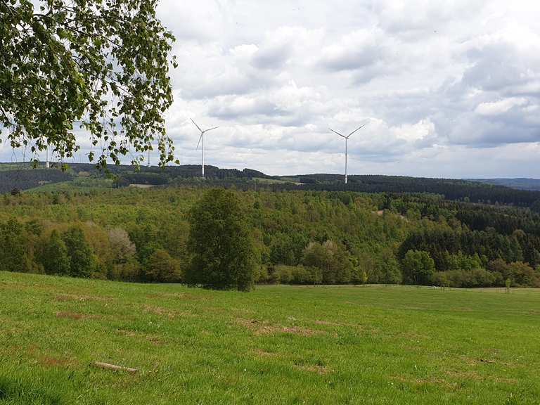 Ausblick Hochwaldalm Wadrill - Wadern, Merzig-Wadern ...