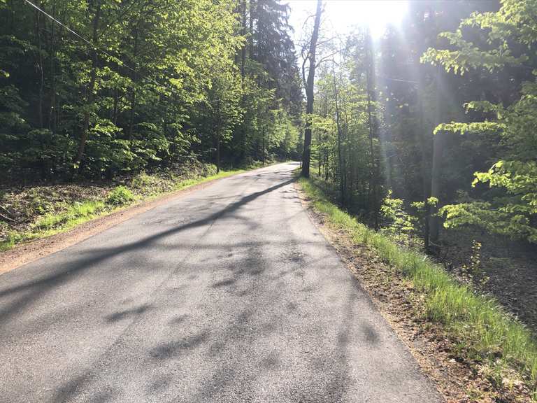 Bielatalstraße - Road Cycle Routes and Map | Komoot