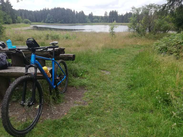 KiefhölzerTeich MountainbikeTouren und Trails komoot