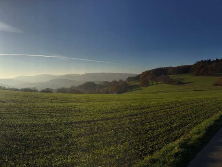 Blick auf Reichelsheim Wanderungen und Rundwege komoot