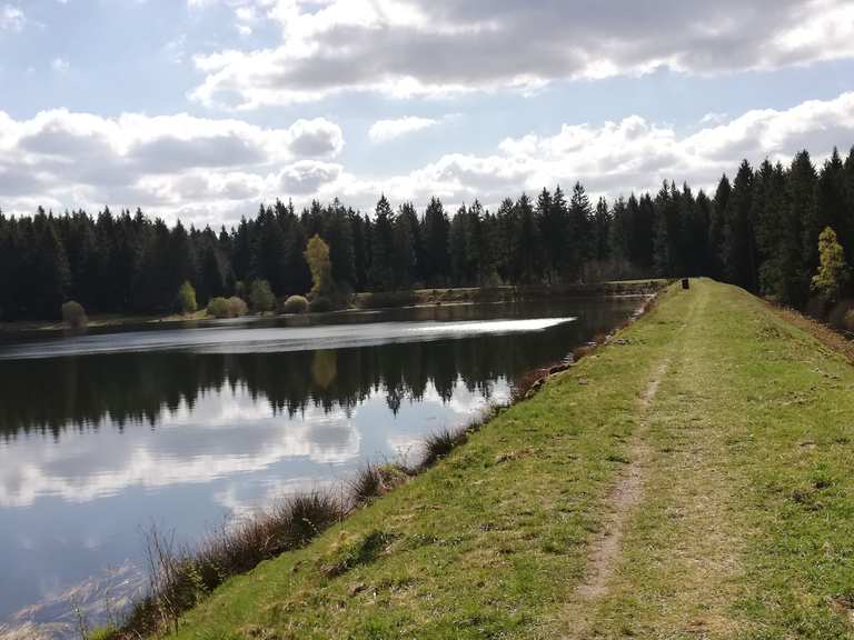 Zankwieser Teich Wanderungen und Rundwege komoot