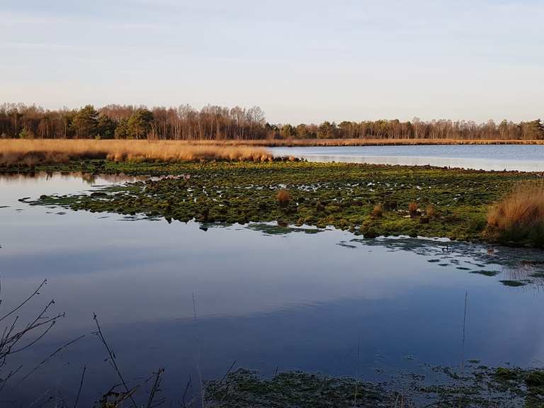 Naturschutzgebiet Hohes Moor NSG Hohes Moor Runde von Siedlung